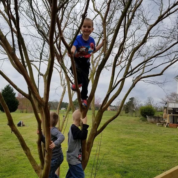 Meet your Posher, Robert - Picture 1 of 1